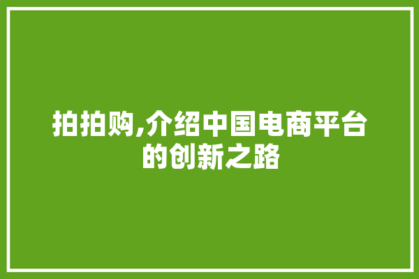 拍拍购,介绍中国电商平台的创新之路 绘影字幕
