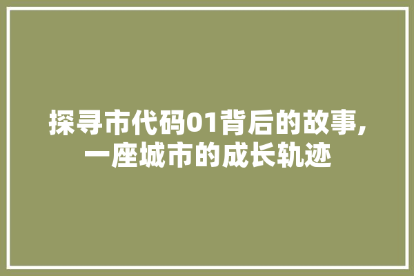 探寻市代码01背后的故事,一座城市的成长轨迹 智能问答