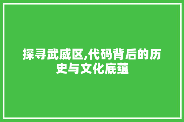 探寻武威区,代码背后的历史与文化底蕴