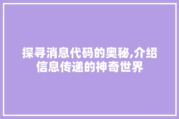 探寻消息代码的奥秘,介绍信息传递的神奇世界