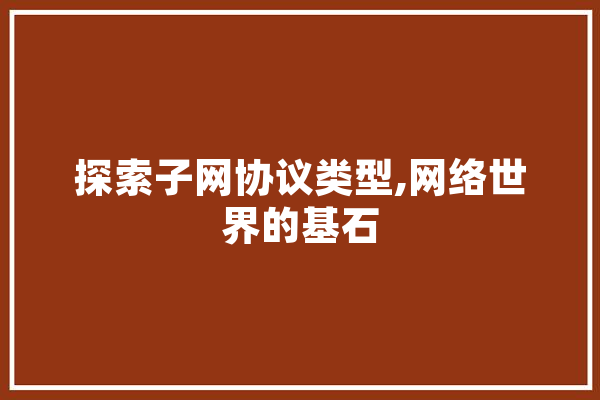 探索子网协议类型,网络世界的基石