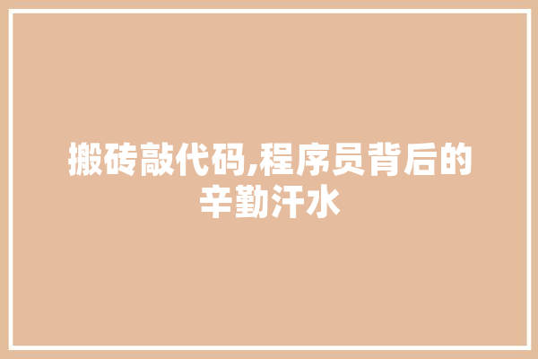 搬砖敲代码,程序员背后的辛勤汗水 文字写作