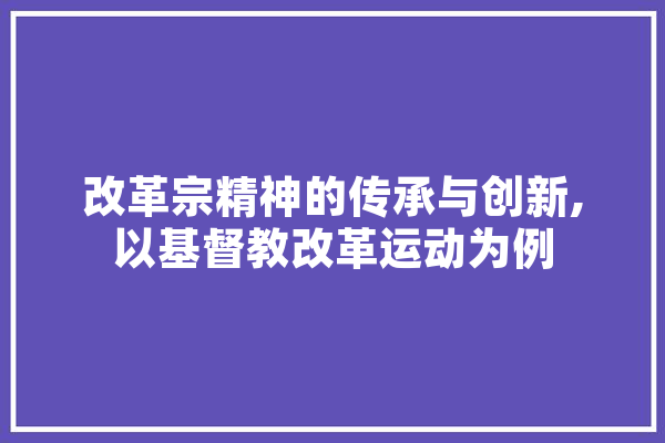 改革宗精神的传承与创新,以基督教改革运动为例