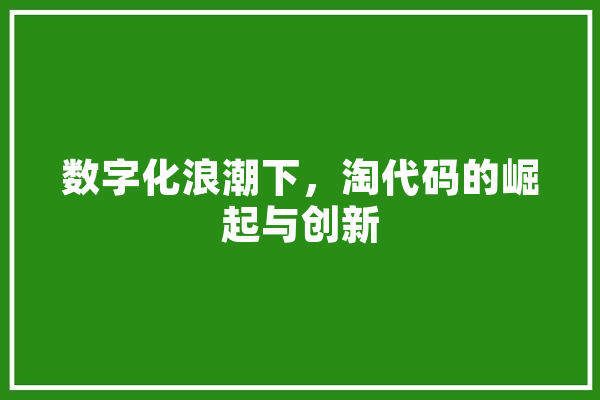 数字化浪潮下，淘代码的崛起与创新 AI快讯