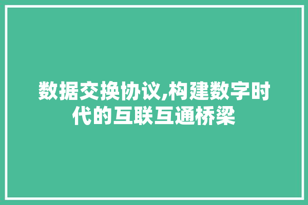 数据交换协议,构建数字时代的互联互通桥梁