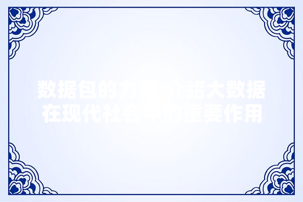 数据包的力量,介绍大数据在现代社会中的重要作用