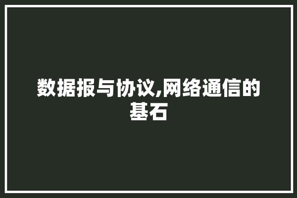 数据报与协议,网络通信的基石 云服务