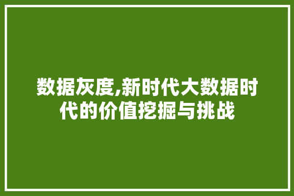 数据灰度,新时代大数据时代的价值挖掘与挑战 文字写作
