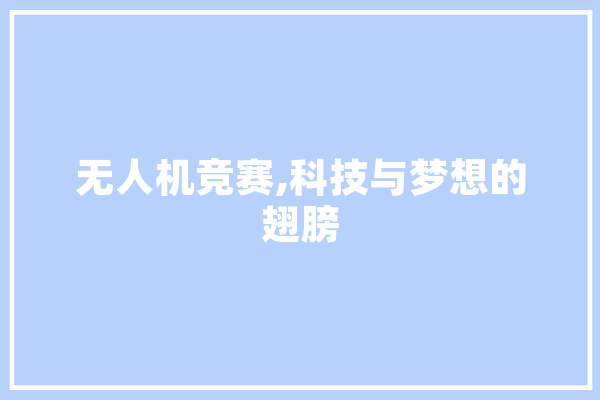 无人机竞赛,科技与梦想的翅膀