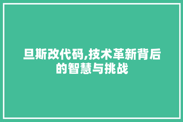 旦斯改代码,技术革新背后的智慧与挑战 科技快讯