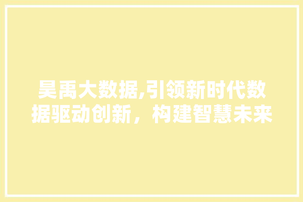 昊禹大数据,引领新时代数据驱动创新，构建智慧未来