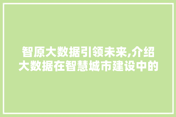 智原大数据引领未来,介绍大数据在智慧城市建设中的应用