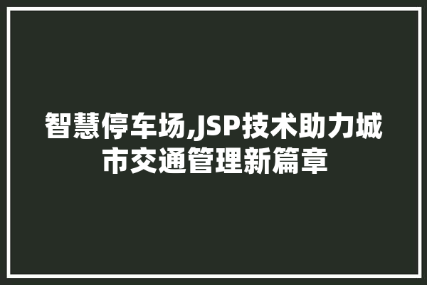 智慧停车场,JSP技术助力城市交通管理新篇章
