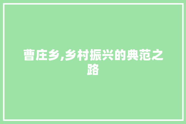 曹庄乡,乡村振兴的典范之路