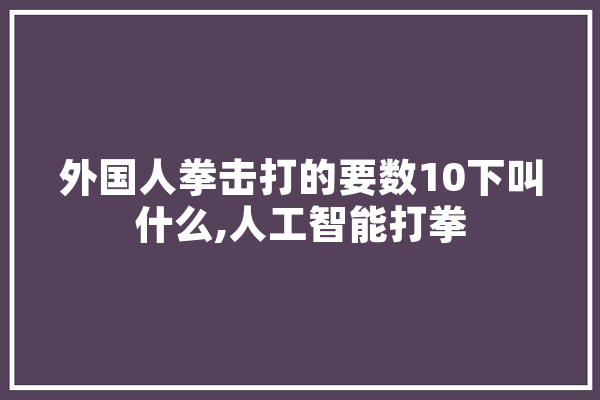 外国人拳击打的要数10下叫什么,人工智能打拳 AI简讯