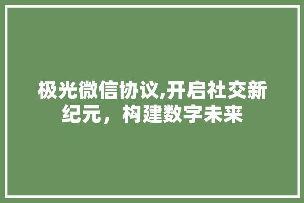 极光微信协议,开启社交新纪元，构建数字未来 文字写作