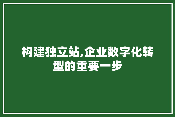 构建独立站,企业数字化转型的重要一步 计算机