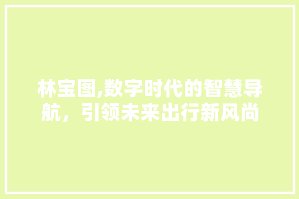 林宝图,数字时代的智慧导航，引领未来出行新风尚