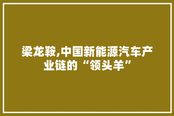 梁龙鞍,中国新能源汽车产业链的“领头羊”