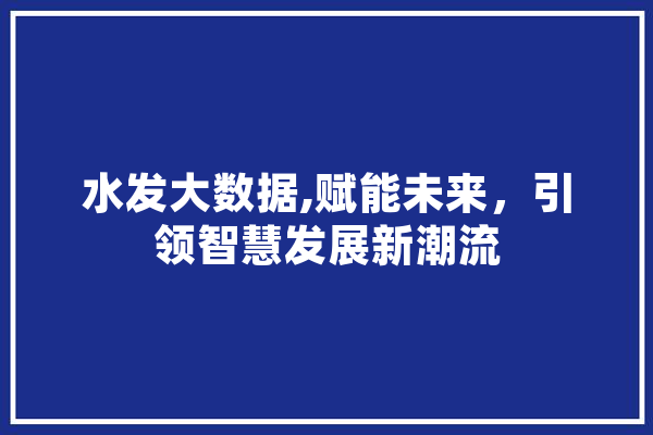水发大数据,赋能未来，引领智慧发展新潮流 智能写作