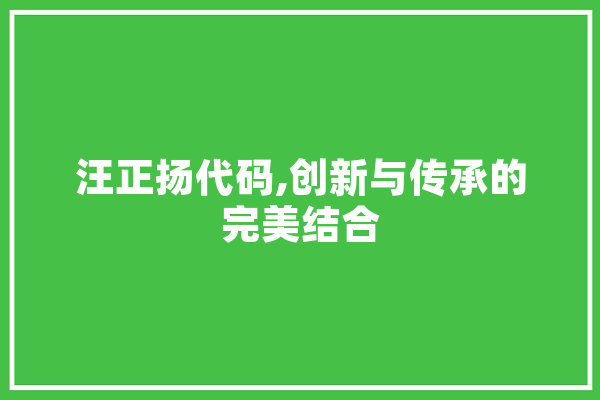 汪正扬代码,创新与传承的完美结合 云服务