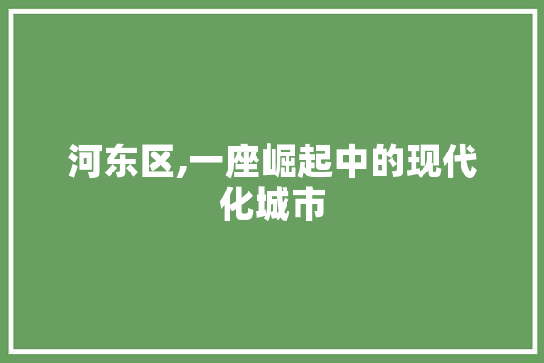 河东区,一座崛起中的现代化城市