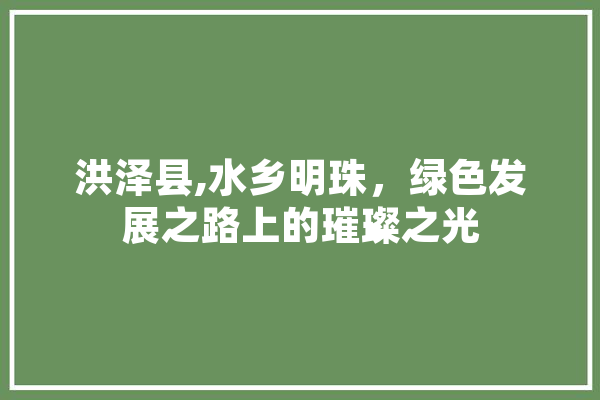 洪泽县,水乡明珠，绿色发展之路上的璀璨之光