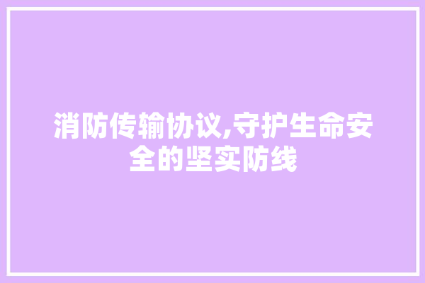 消防传输协议,守护生命安全的坚实防线