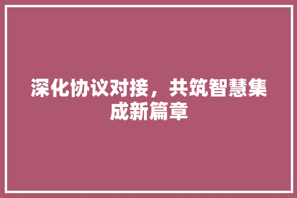 深化协议对接，共筑智慧集成新篇章