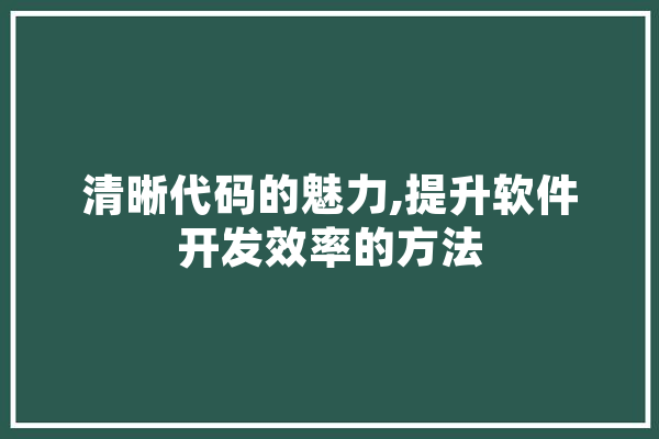 清晰代码的魅力,提升软件开发效率的方法 智能写作
