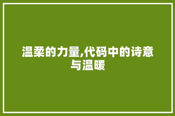 温柔的力量,代码中的诗意与温暖