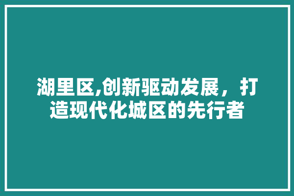 湖里区,创新驱动发展，打造现代化城区的先行者