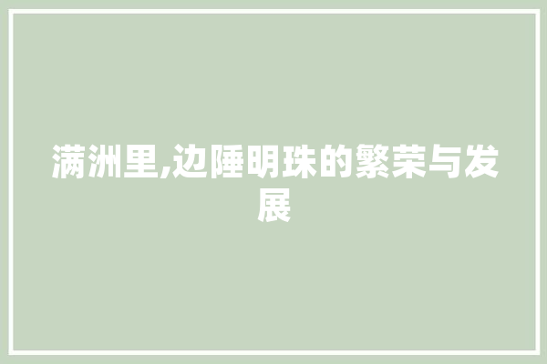 满洲里,边陲明珠的繁荣与发展 AI简讯