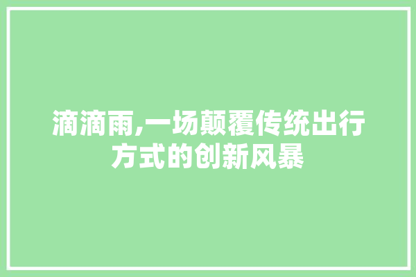 滴滴雨,一场颠覆传统出行方式的创新风暴