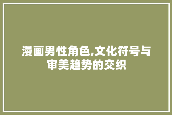 漫画男性角色,文化符号与审美趋势的交织