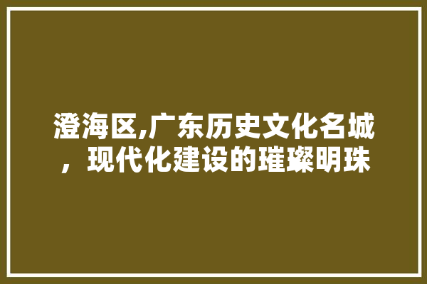 澄海区,广东历史文化名城，现代化建设的璀璨明珠