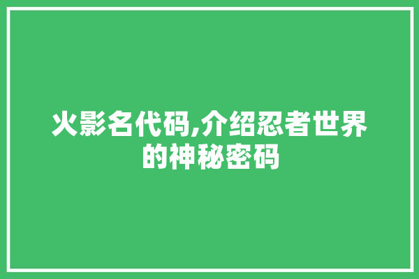火影名代码,介绍忍者世界的神秘密码