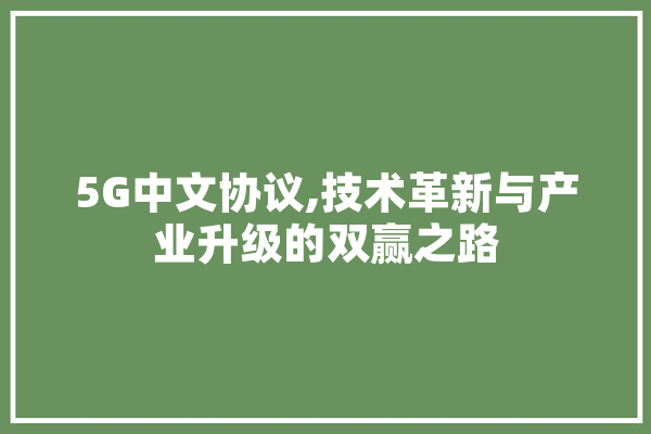 5G中文协议,技术革新与产业升级的双赢之路 智能助手