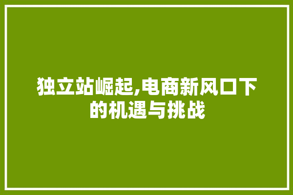 独立站崛起,电商新风口下的机遇与挑战