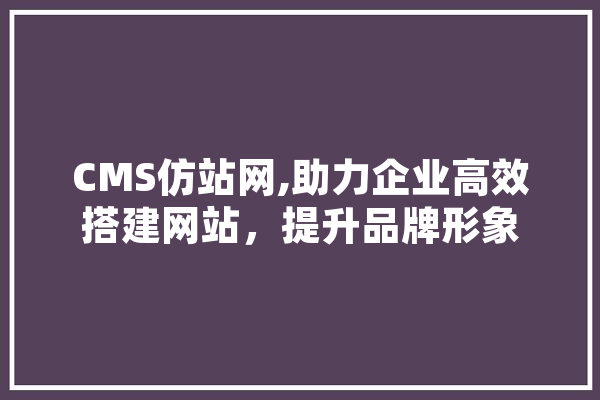 CMS仿站网,助力企业高效搭建网站，提升品牌形象 计算机