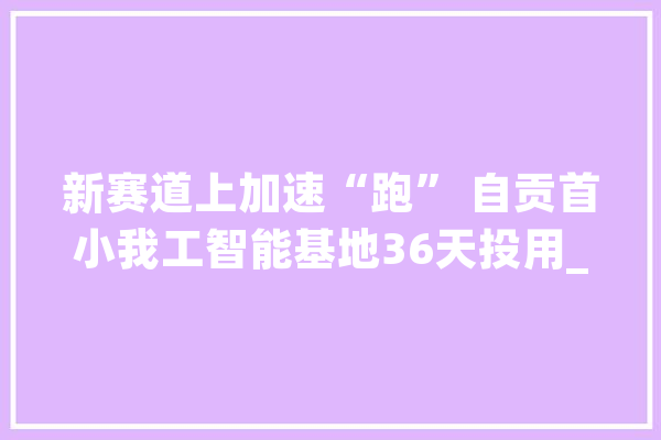 新赛道上加速“跑” 自贡首小我工智能基地36天投用_自贡_家当 绘影字幕