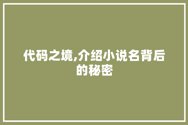 代码之境,介绍小说名背后的秘密