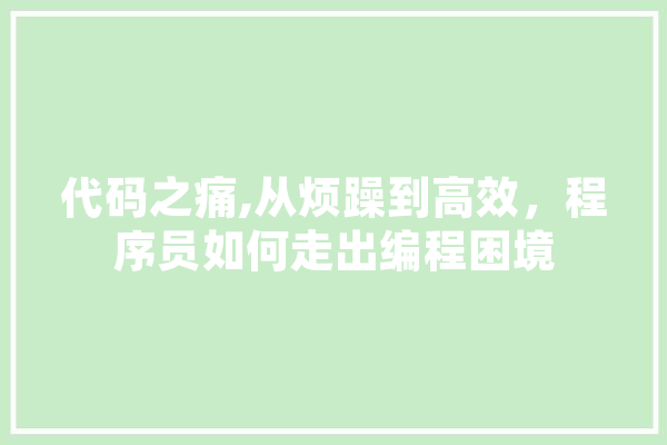 代码之痛,从烦躁到高效，程序员如何走出编程困境