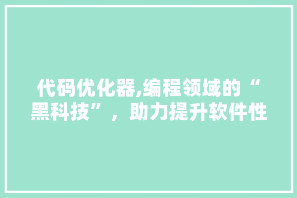 代码优化器,编程领域的“黑科技”，助力提升软件性能 云服务