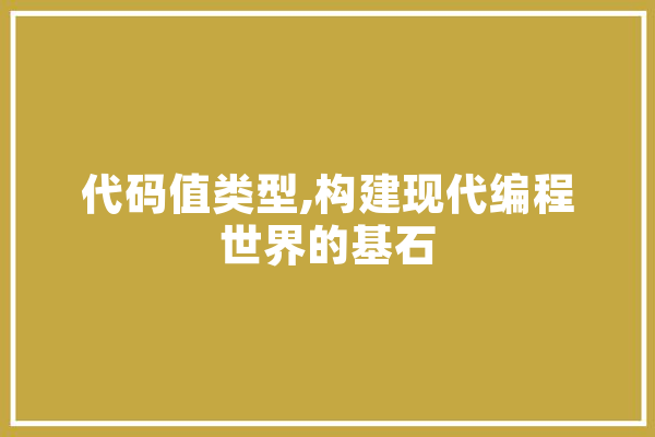 代码值类型,构建现代编程世界的基石