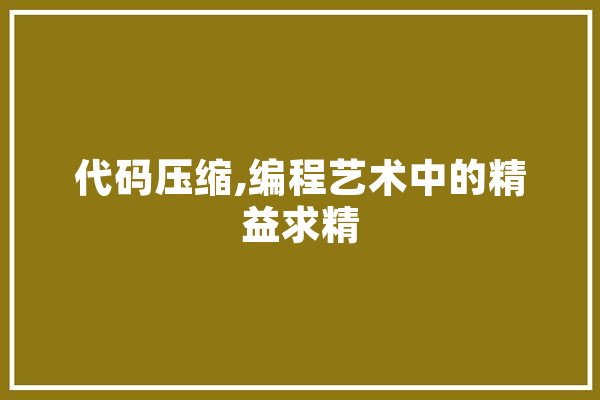 代码压缩,编程艺术中的精益求精