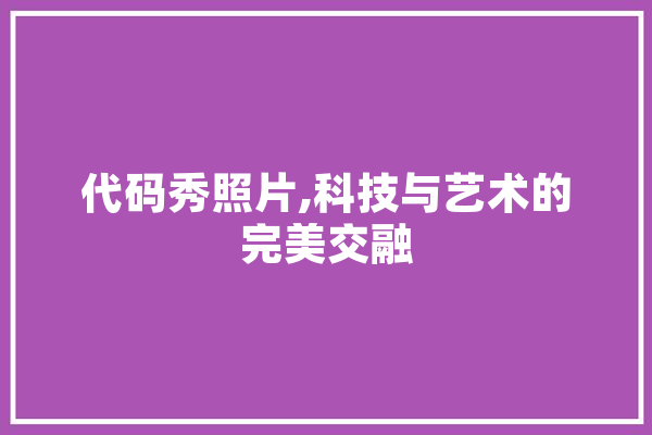 代码秀照片,科技与艺术的完美交融 AI简讯