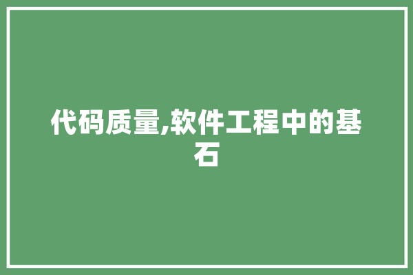 代码质量,软件工程中的基石