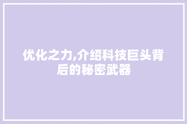 优化之力,介绍科技巨头背后的秘密武器 文字写作