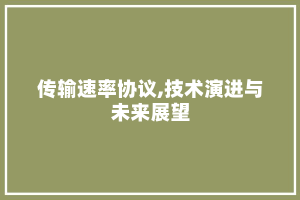 传输速率协议,技术演进与未来展望